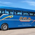 micro evelia