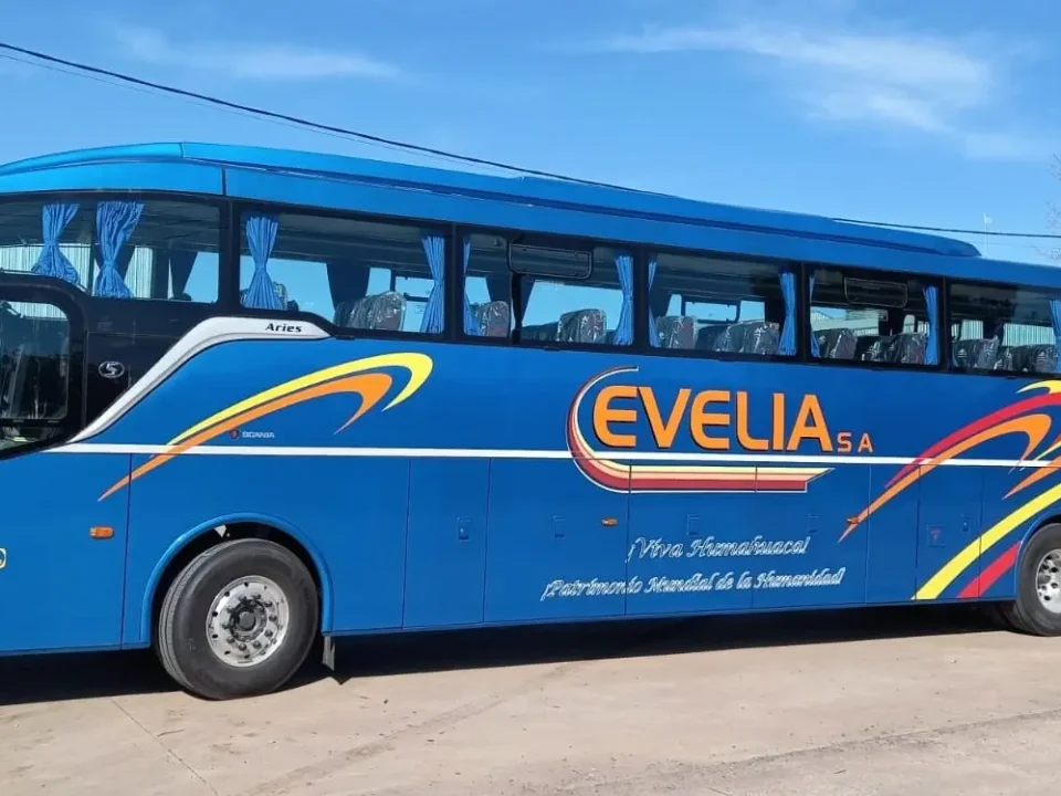 micro evelia